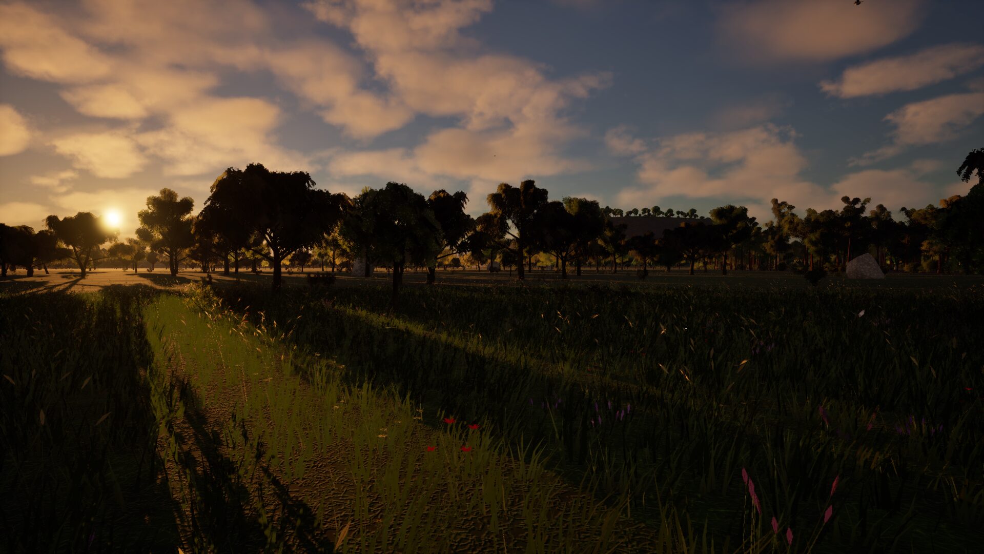 Imagen de El Retiro (4)